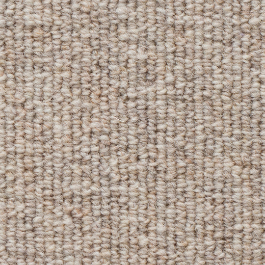 WS-101 (ウールスコット プレーン　WOOL SCOT PLAIN)