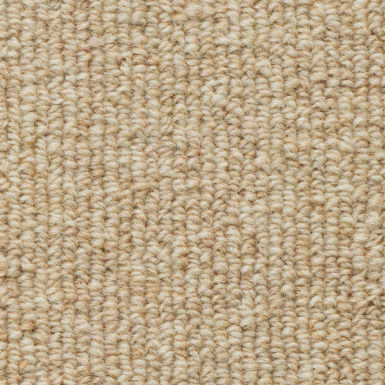 WS-104 (ウールスコット プレーン　WOOL SCOT PLAIN)