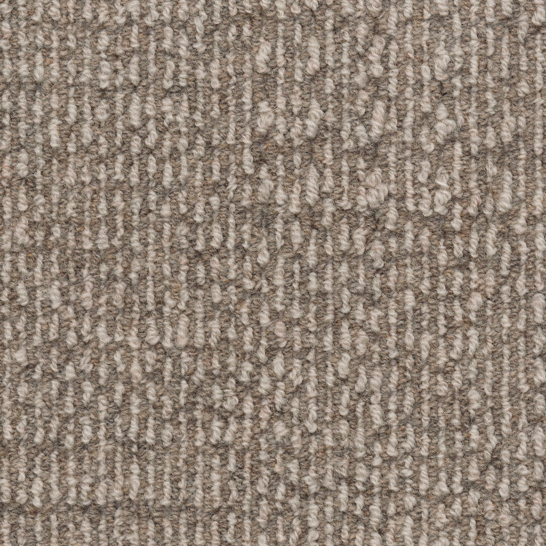 WS-304 (Wool Scott Glen Wool Scot Glen)