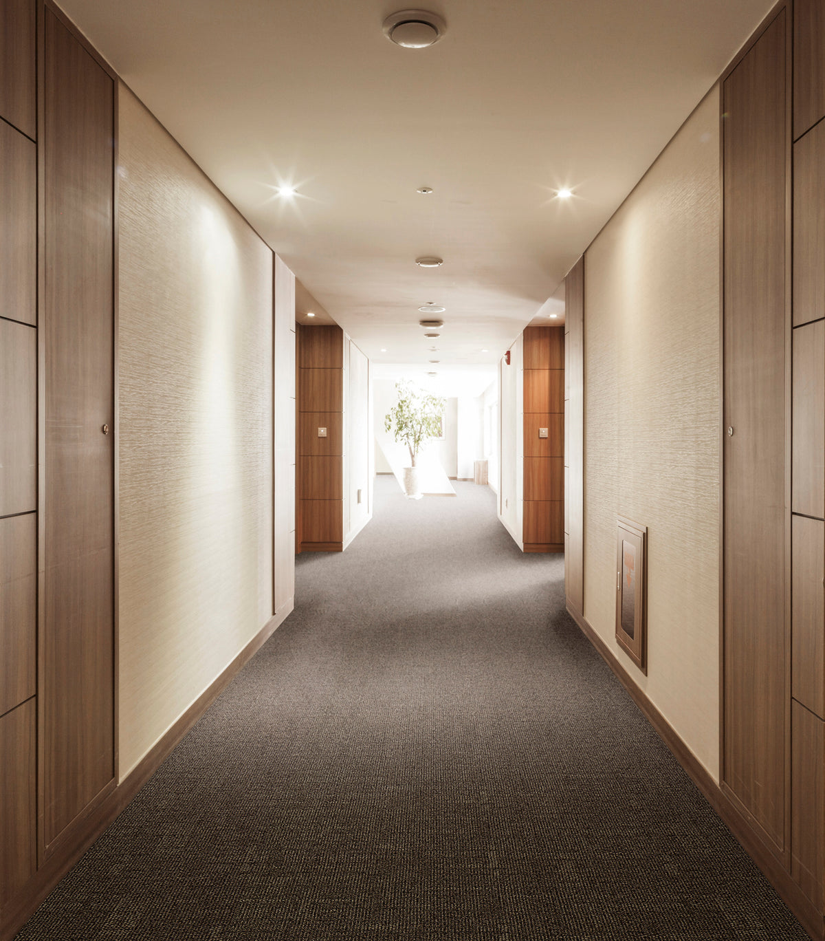 WS-401 (ウールスコット マドラス　WOOL SCOT MADRAS)