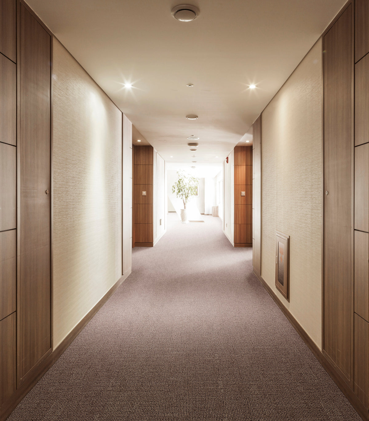 WS-403 (ウールスコット マドラス　WOOL SCOT MADRAS)