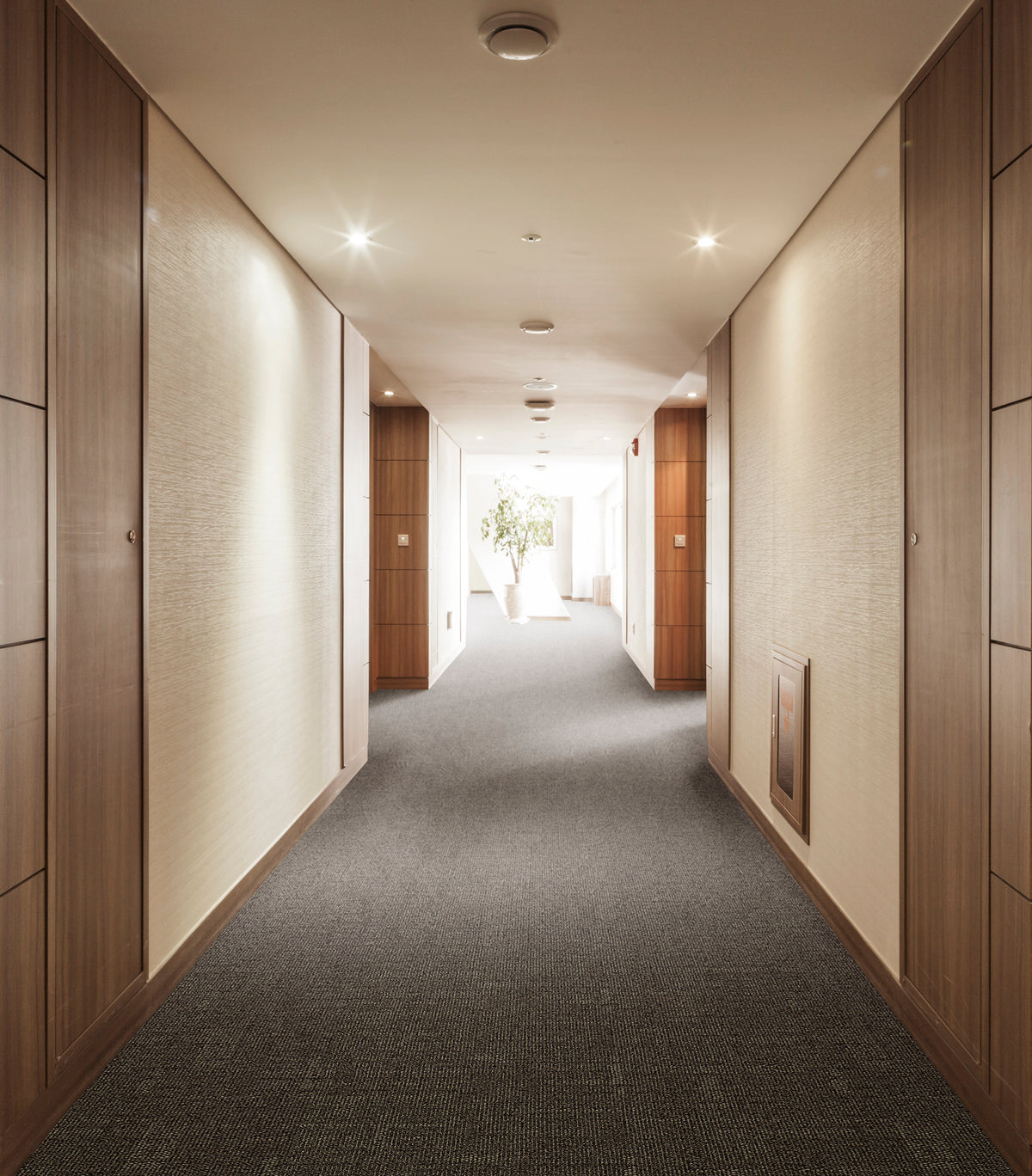 WS-404 (ウールスコット マドラス　WOOL SCOT MADRAS)